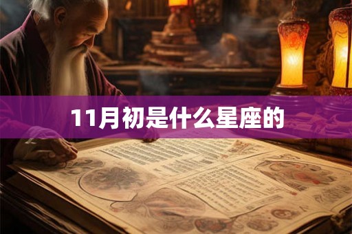 11月初是什么星座的