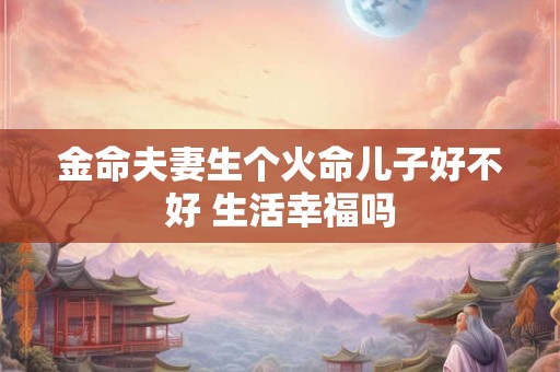 金命夫妻生个火命儿子好不好 生活幸福吗