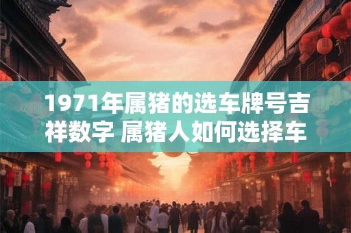 1971年属猪的选车牌号吉祥数字 属猪人如何选择车牌号