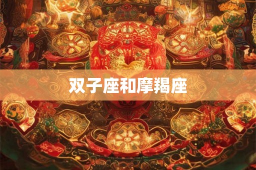 双子座和摩羯座 双子座和摩羯座