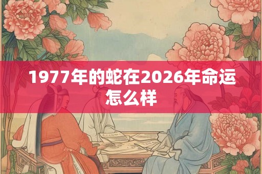1977年的蛇在2026年命运怎么样 1977年的蛇在2026年命运怎么样