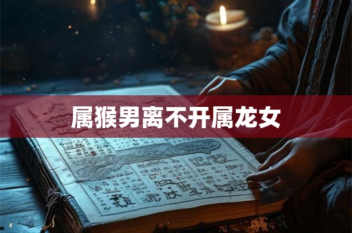 属猴男离不开属龙女