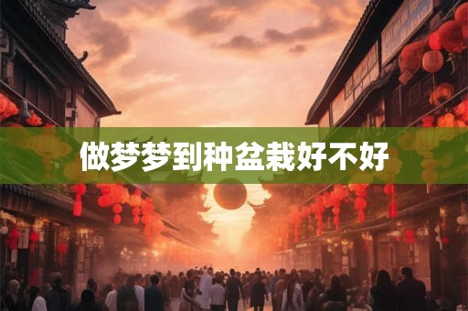 做梦梦到种盆栽好不好