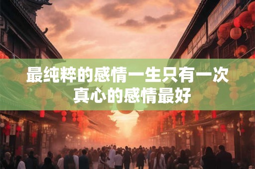 最纯粹的感情一生只有一次  真心的感情最好