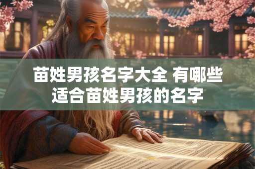 苗姓男孩名字大全 有哪些适合苗姓男孩的名字