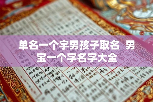 单名一个字男孩子取名  男宝一个字名字大全