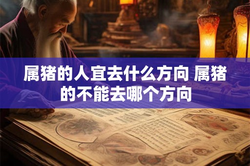 属猪的人宜去什么方向 属猪的不能去哪个方向
