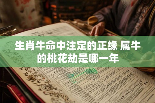 生肖牛命中注定的正缘 属牛的桃花劫是哪一年 生肖牛命中注定的正缘 属牛的桃花劫是哪一年