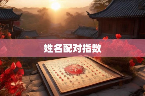 姓名配对指数