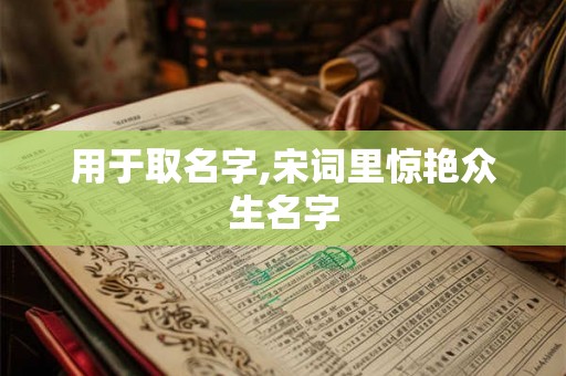 用于取名字,宋词里惊艳众生名字