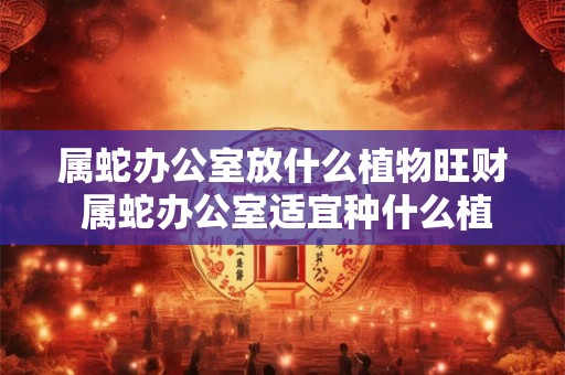 属蛇办公室放什么植物旺财 属蛇办公室适宜种什么植物招财 属蛇办公室放什么植物旺财 属蛇办公室适宜种什么植物招财