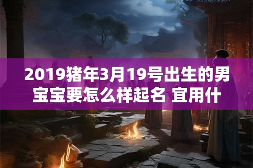 2019猪年3月19号出生的男宝宝要怎么样起名 宜用什么字