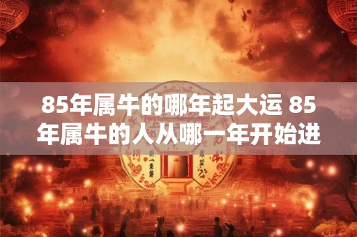 85年属牛的哪年起大运 85年属牛的人从哪一年开始进入大运阶段