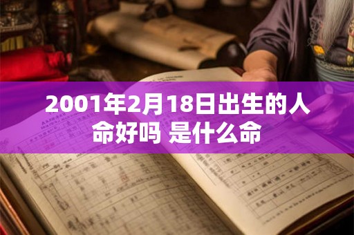 2001年2月18日出生的人命好吗 是什么命