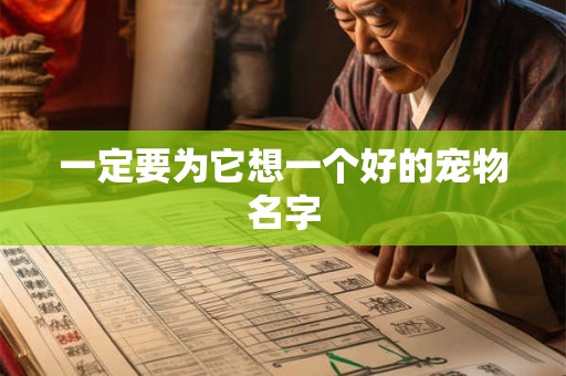一定要为它想一个好的宠物名字