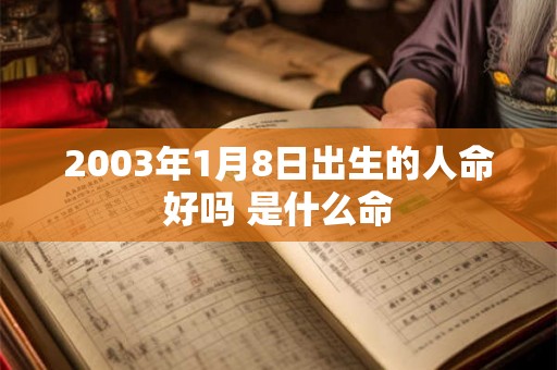 2003年1月8日出生的人命好吗 是什么命