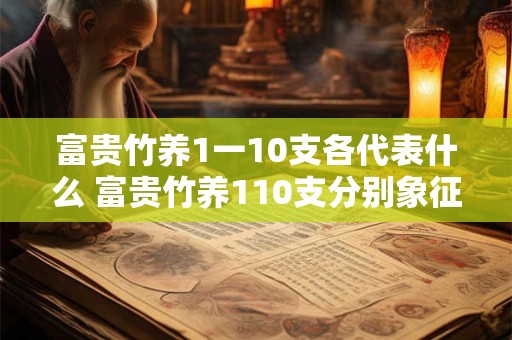 富贵竹养1一10支各代表什么 富贵竹养110支分别象征什么 富贵竹养1一10支各代表什么 富贵竹养110支分别象征什么