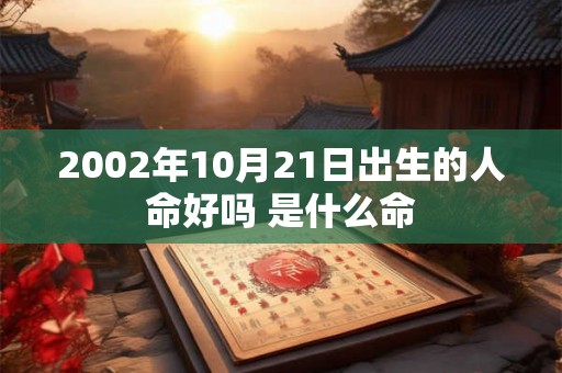 2002年10月21日出生的人命好吗 是什么命