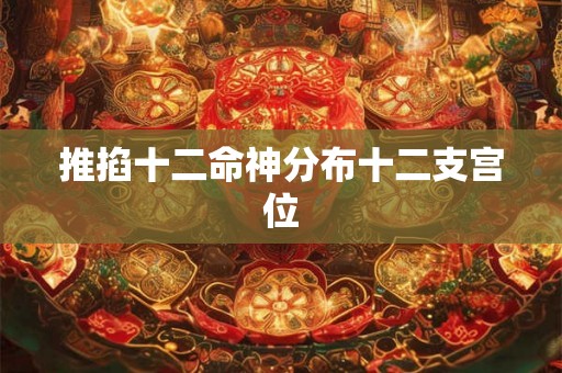 推掐十二命神分布十二支宫位