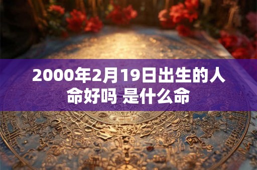2000年2月19日出生的人命好吗 是什么命