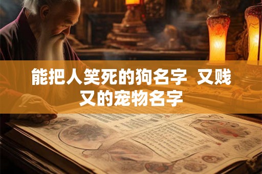 能把人笑死的狗名字  又贱又的宠物名字