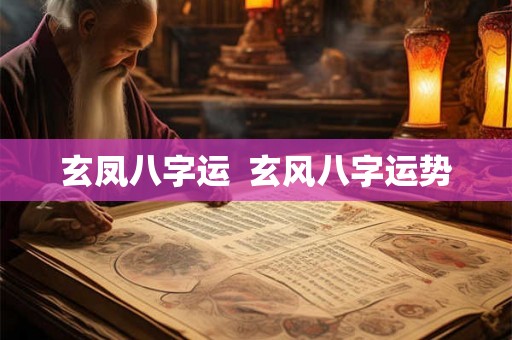 玄凤八字运  玄风八字运势
