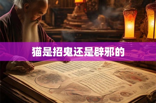 猫是招鬼还是辟邪的