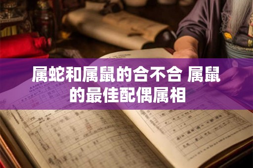 属蛇和属鼠的合不合 属鼠的最佳配偶属相