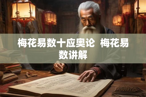 梅花易数十应奥论  梅花易数讲解
