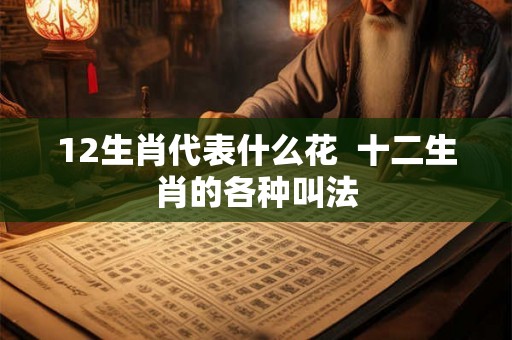 12生肖代表什么花  十二生肖的各种叫法