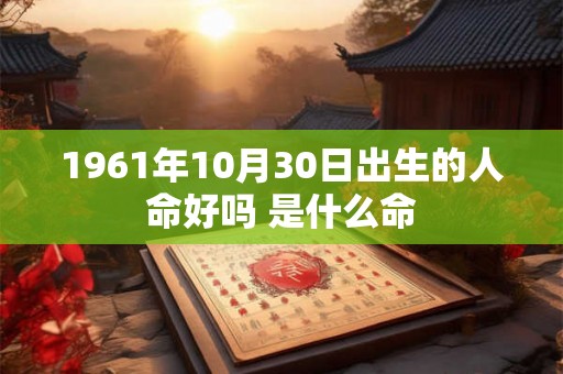 1961年10月30日出生的人命好吗 是什么命