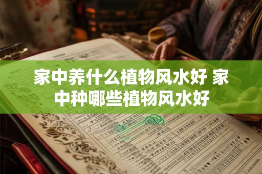 家中养什么植物风水好 家中种哪些植物风水好 家中养什么植物风水好 家中种哪些植物风水好