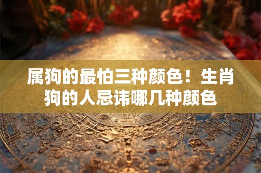 属狗的最怕三种颜色！生肖狗的人忌讳哪几种颜色