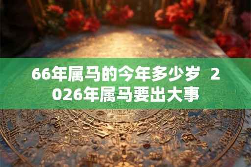 66年属马的今年多少岁  2026年属马要出大事
