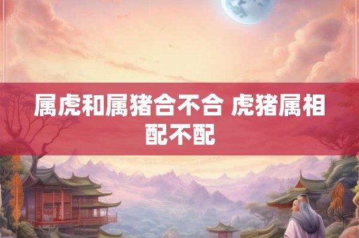 属虎和属猪合不合 虎猪属相配不配