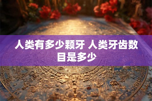 人类有多少颗牙 人类牙齿数目是多少