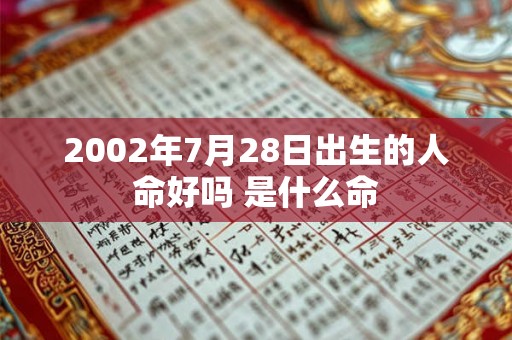 2002年7月28日出生的人命好吗 是什么命