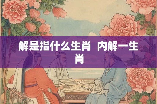 解是指什么生肖  内解一生肖