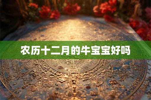 农历十二月的牛宝宝好吗