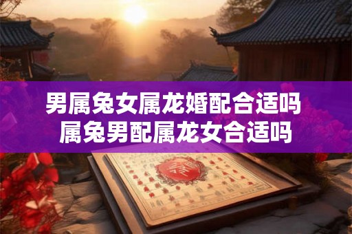 男属兔女属龙婚配合适吗 属兔男配属龙女合适吗