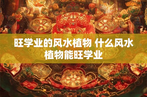 旺学业的风水植物 什么风水植物能旺学业