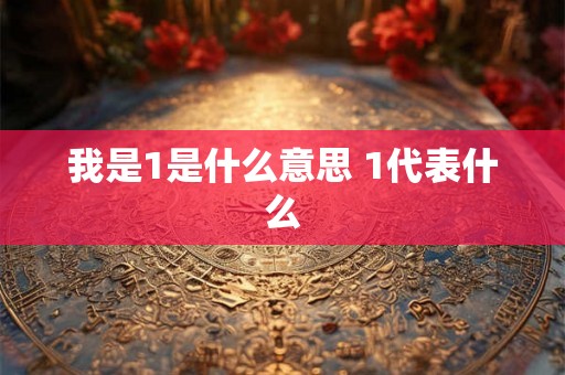 我是1是什么意思 1代表什么 我是1是什么意思 1代表什么