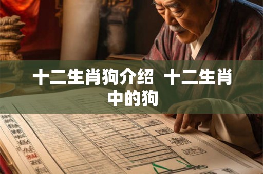 十二生肖狗介绍  十二生肖中的狗