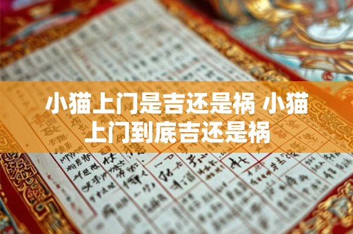 小猫上门是吉还是祸 小猫上门到底吉还是祸 小猫上门是吉还是祸 小猫上门到底吉还是祸