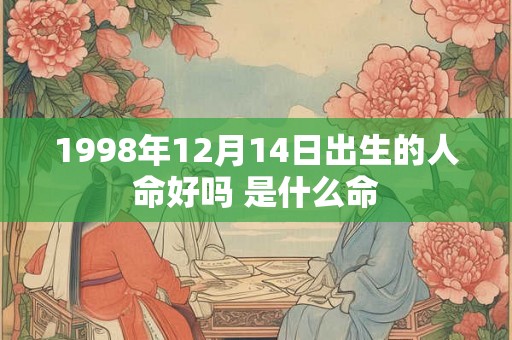 1998年12月14日出生的人命好吗 是什么命