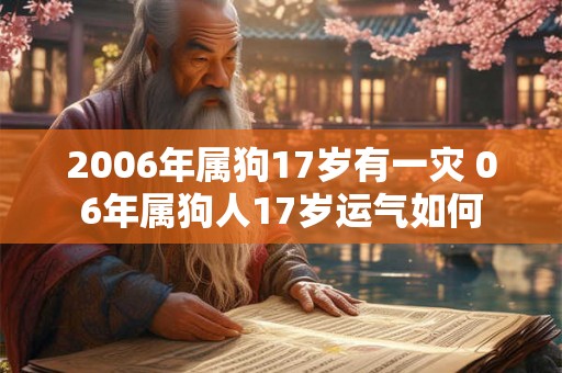 2006年属狗17岁有一灾 06年属狗人17岁运气如何