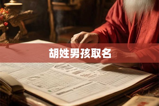 胡姓男孩取名 胡姓男孩取名