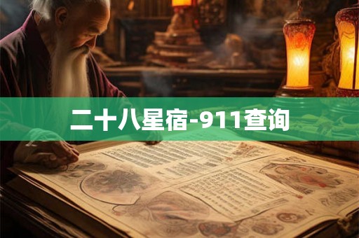 二十八星宿-911查询