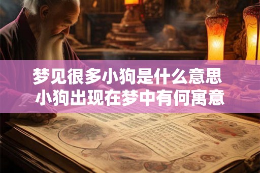 梦见很多小狗是什么意思 小狗出现在梦中有何寓意 梦见很多小狗是什么意思 小狗出现在梦中有何寓意