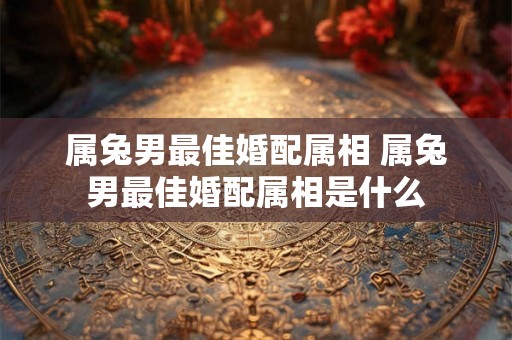 属兔男最佳婚配属相 属兔男最佳婚配属相是什么